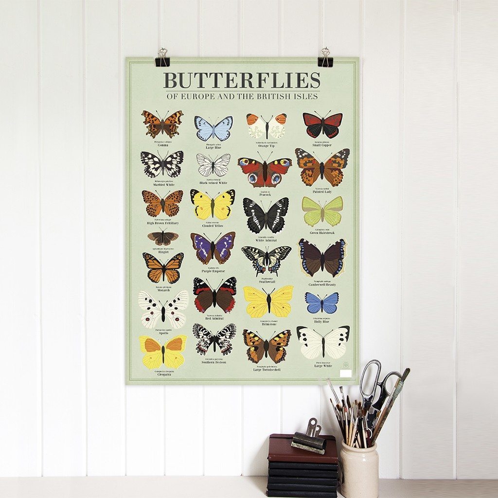 Butterflies wrapping paper